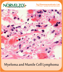 treat multiple myeloma and mantle cell lymphoma